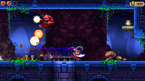 Shantae and the Pirate’s Curse  (3)