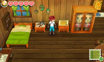 Story of Seasons (4)