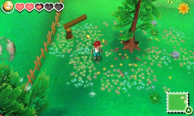 Story of Seasons (5)